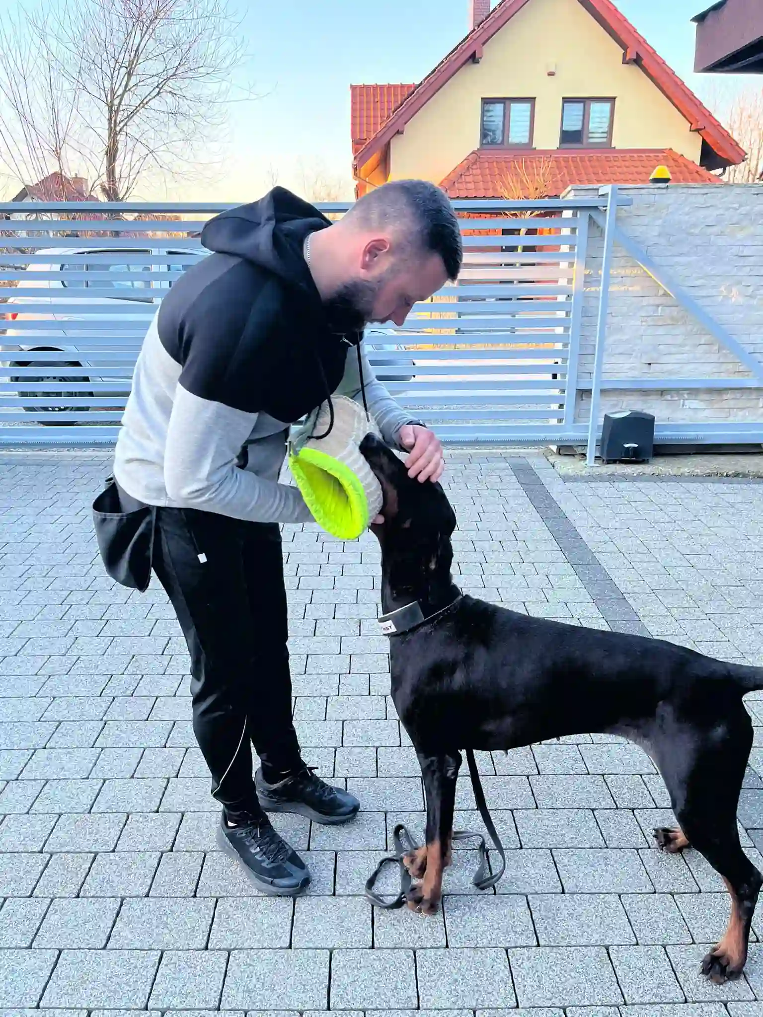 Trening psa w Krakowie