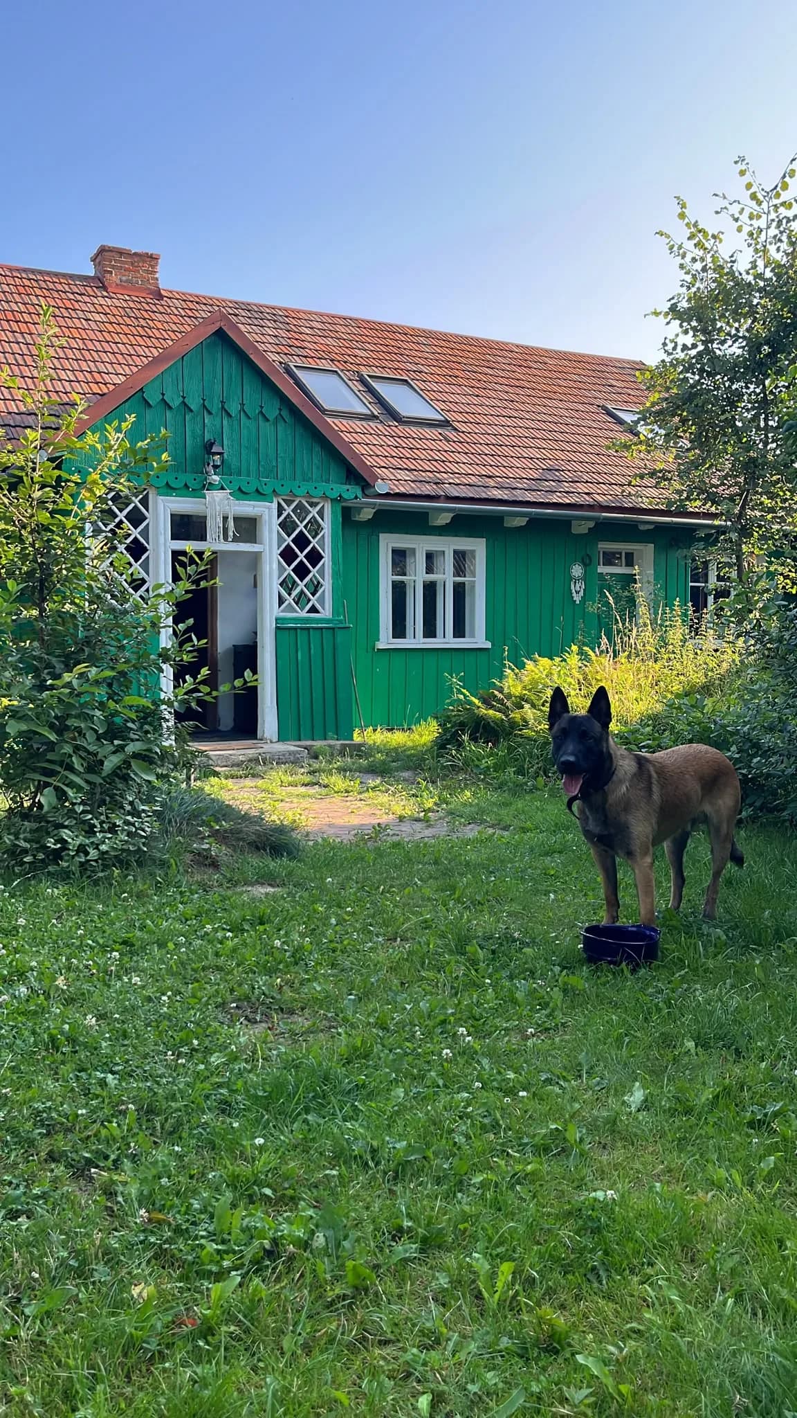 Poranek w ogrodzie Zielonej Chatki