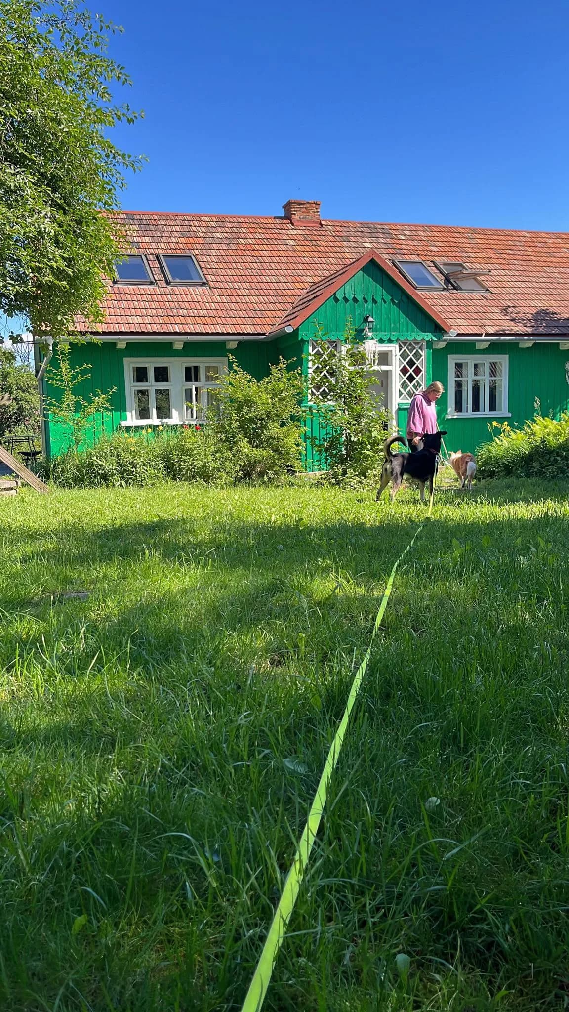 Zabawa z psami przed Zieloną Chatką